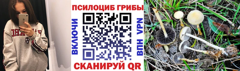 Галлюциногенные грибы мухоморы  маркетплейс состав  Починок 